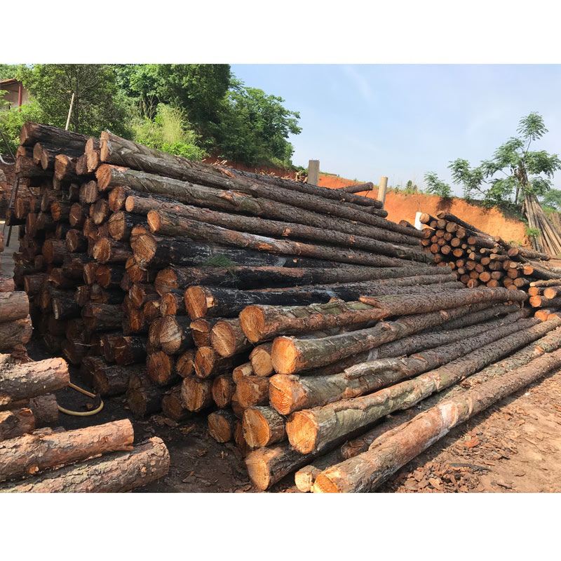 松木樁使用注意事項(xiàng)有哪些？