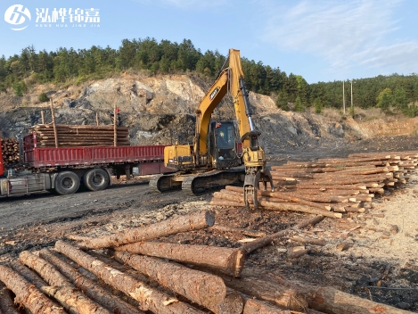 松木樁批發(fā)價格是多少？