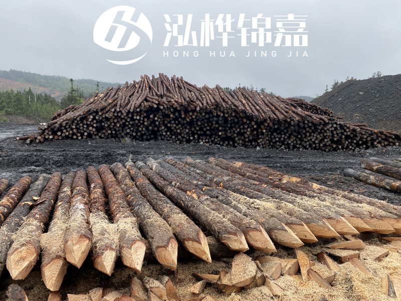 6米長(zhǎng)松木樁有哪些作用，多少錢(qián)一根？