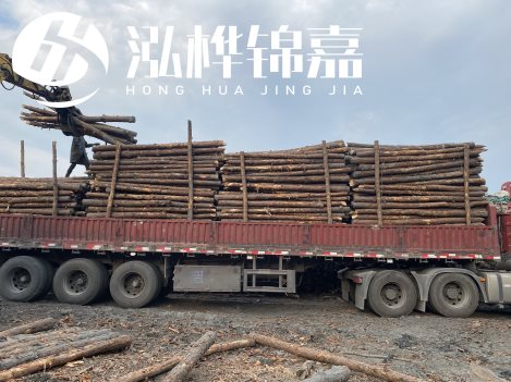 打樁木材為何首選松木？松木樁應該怎么打樁施工