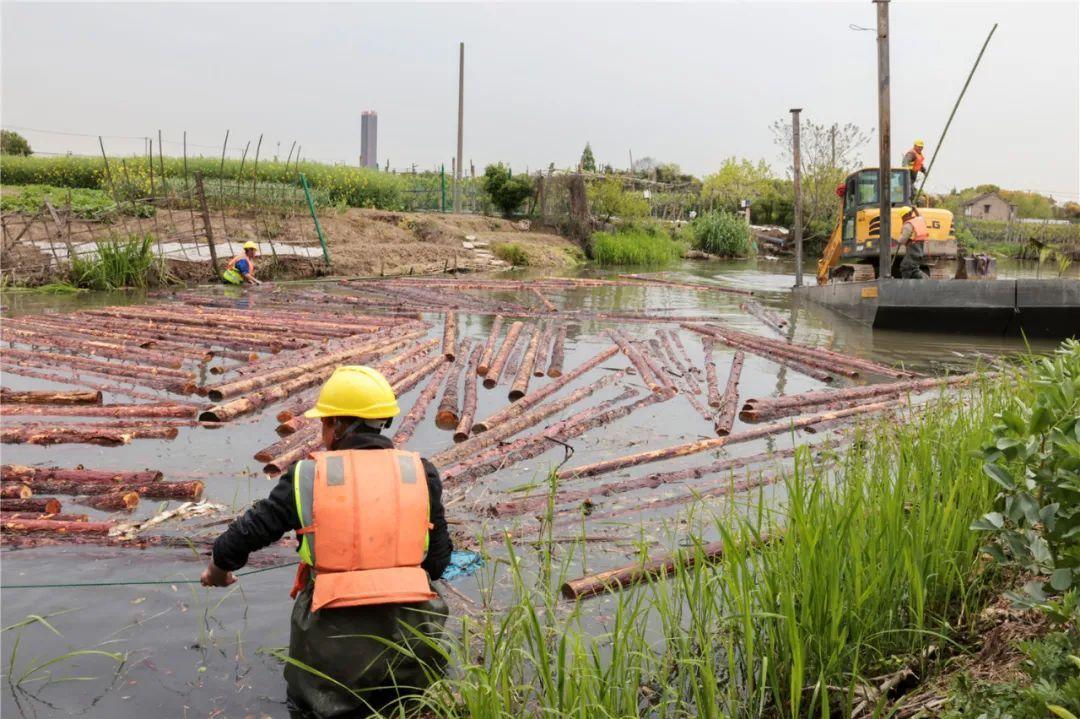 改善水環(huán)境！徐行122條段村級河道用木樁對河岸進行加固整治