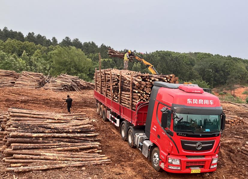 落葉松可以做防腐木嗎，如何制作落葉松防腐木
