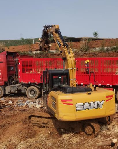 松木原木、松木條，漲勢(shì)如虹，現(xiàn)在搶購(gòu)最劃算(附松木原木供應(yīng)廠家介紹)