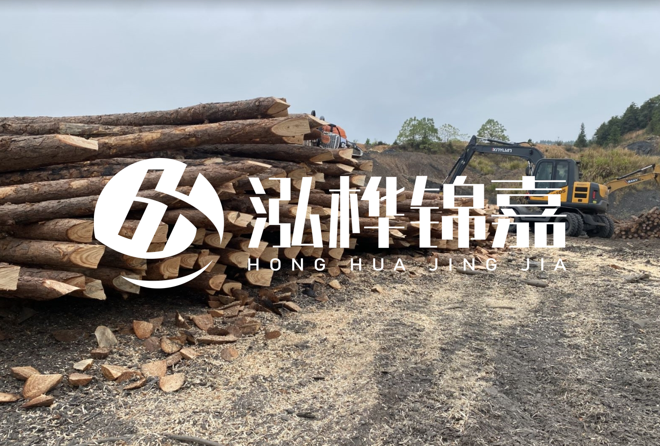 松木樁尾徑是什么意思？