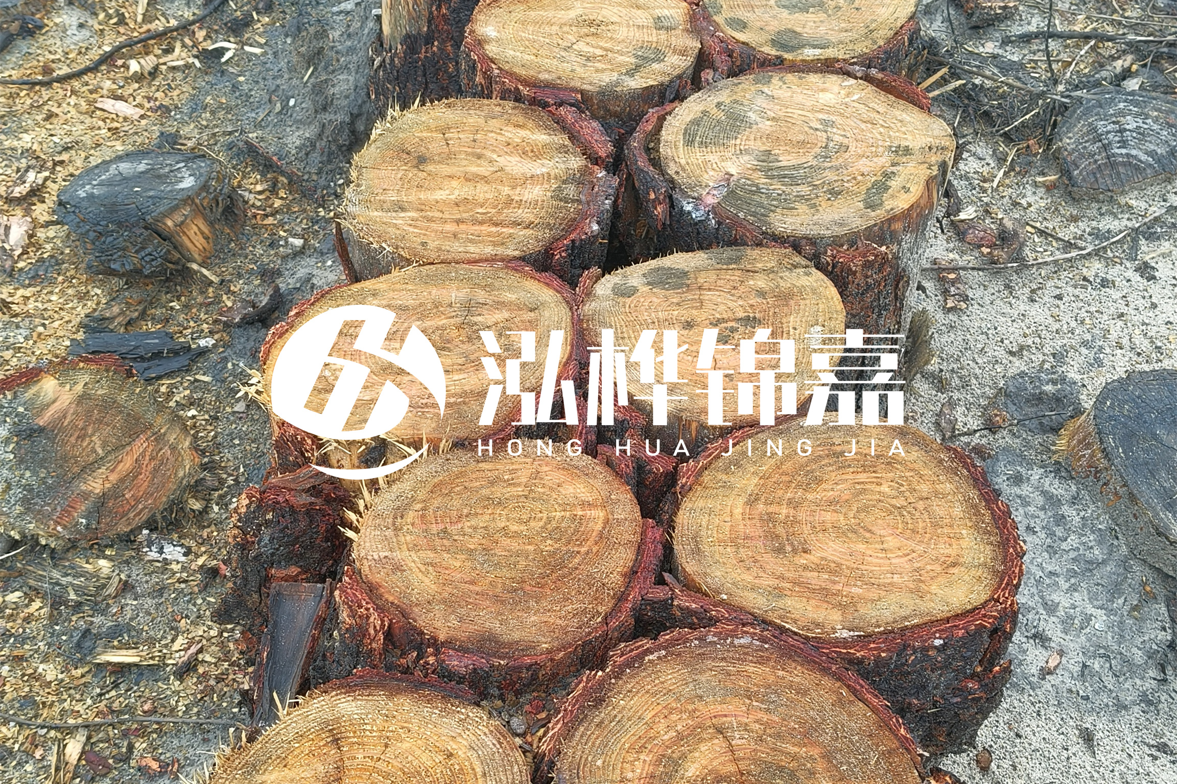 浙江臺(tái)州有清淤的公司嗎？浙江臺(tái)州有清淤施工隊(duì)嗎？