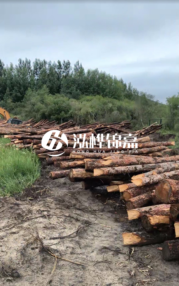 甘肅河道清淤工程公司-為什么要進(jìn)行河道清淤？