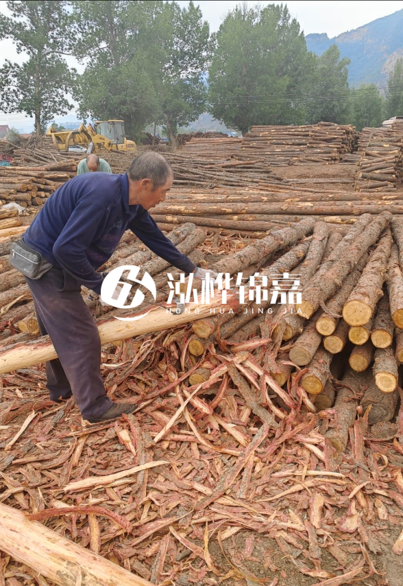 東營河道清淤專業(yè)施工隊-不同型號挖機(jī)清淤能力對比？