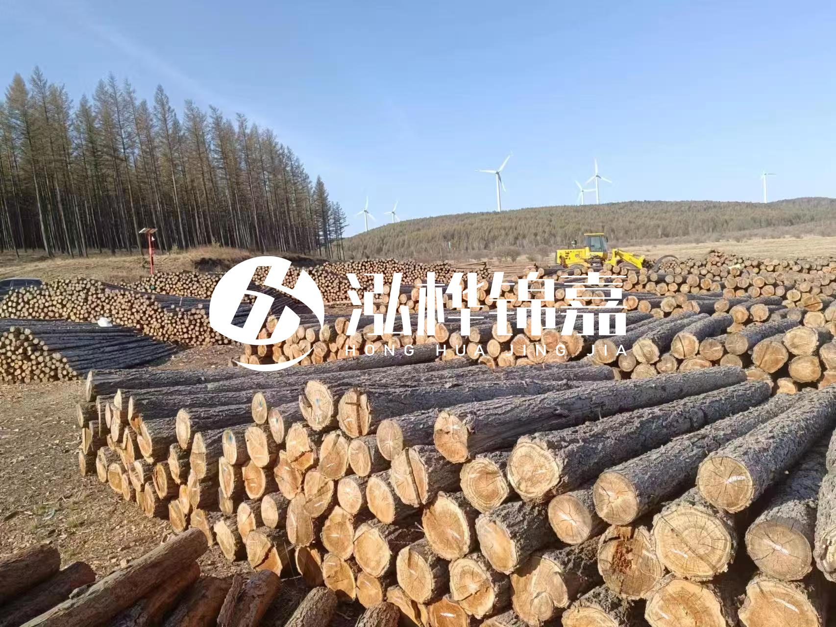 湘潭松木樁源頭廠家-松木樁與水泥樁的性價比對比如何？