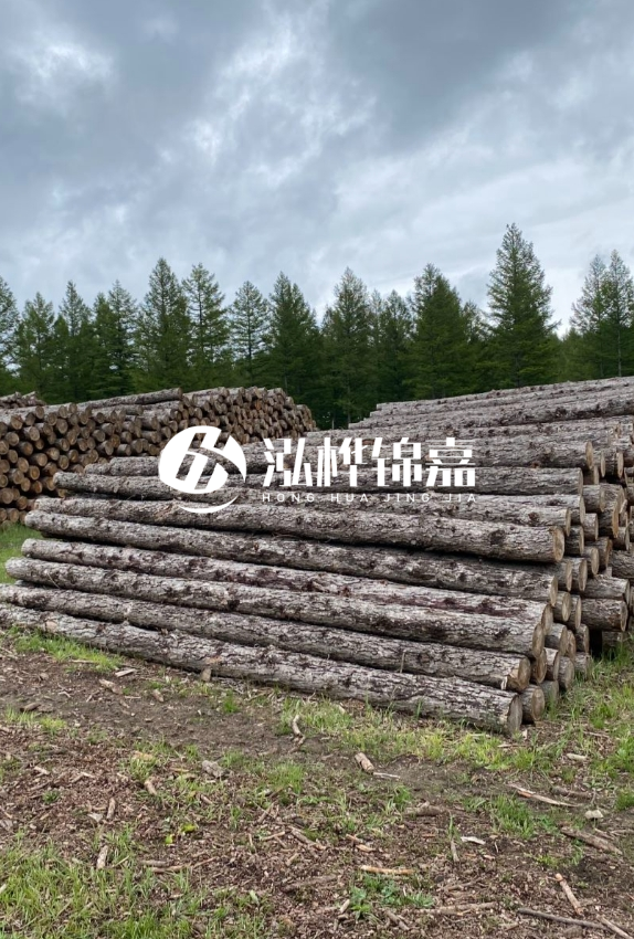 長沙松木樁源頭廠家-如何甄別松木樁打樁木的質(zhì)量好壞？
