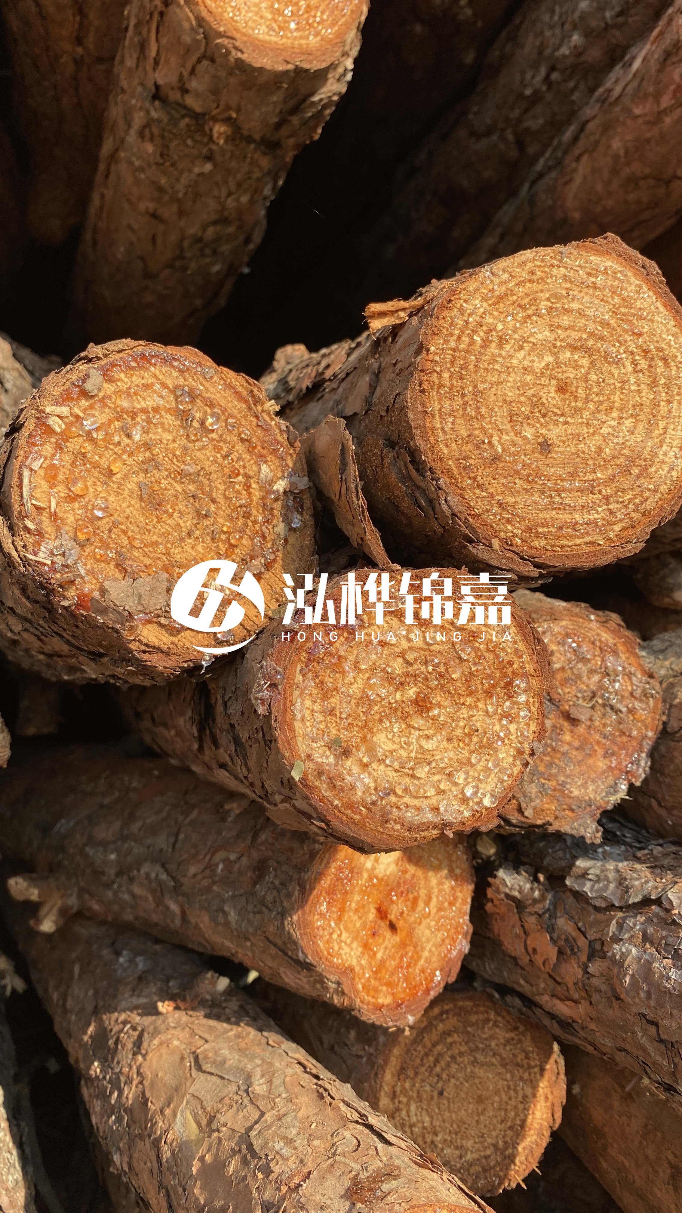 南充松木樁源頭廠家-木樁護坡優(yōu)缺點有哪些？