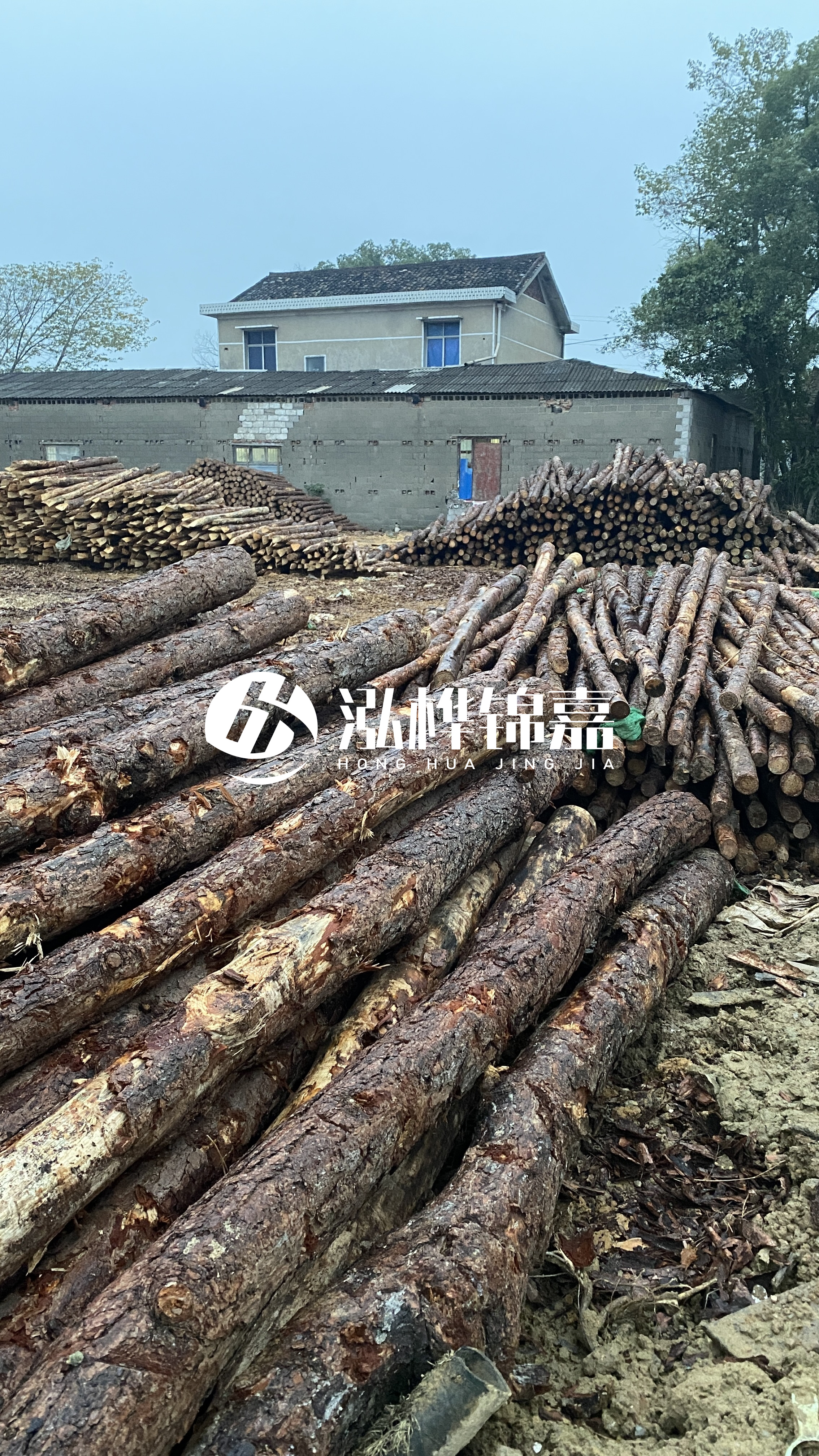 臨滄松木樁源頭廠家-油松打樁木的儲(chǔ)存條件有哪些要求？