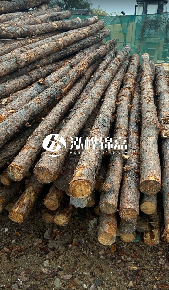 徐州松木樁批發(fā)源頭廠家-松木樁需要做防腐嗎？