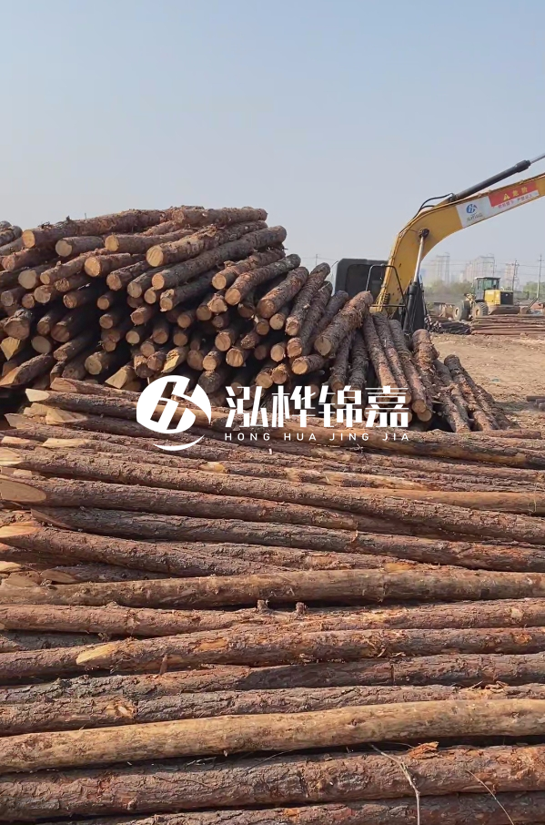 油松用于打樁木到底好不好？讓專業(yè)打樁隊告訴你！