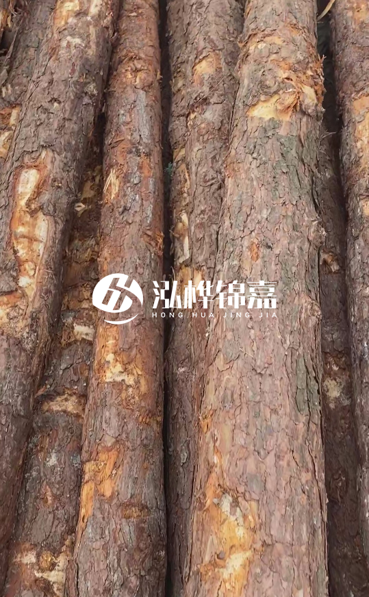 浙江地區(qū)大量供應(yīng)松木樁，源頭廠家在哪里？