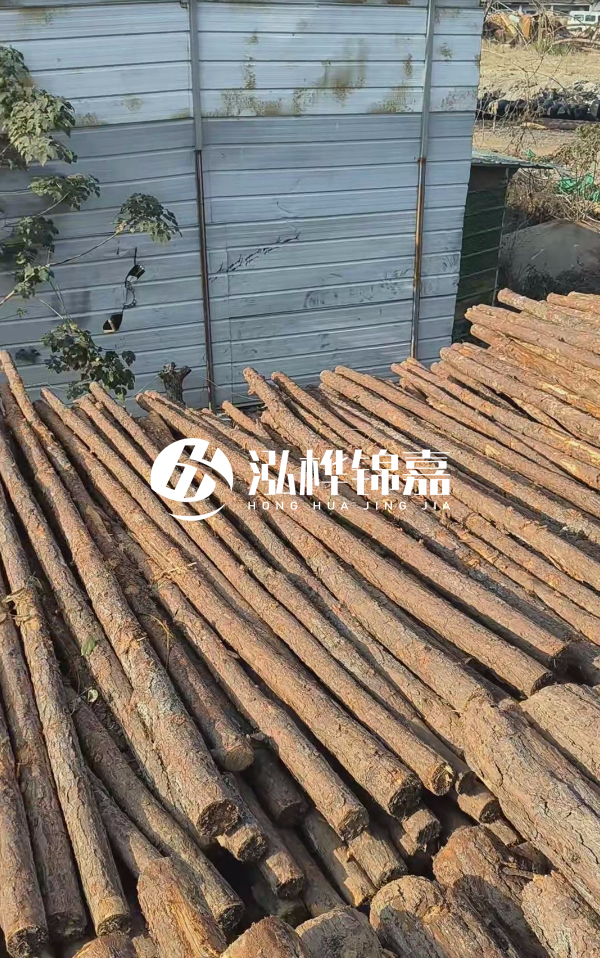 4米松木樁一根有多重？看完你就心中有數(shù)啦！