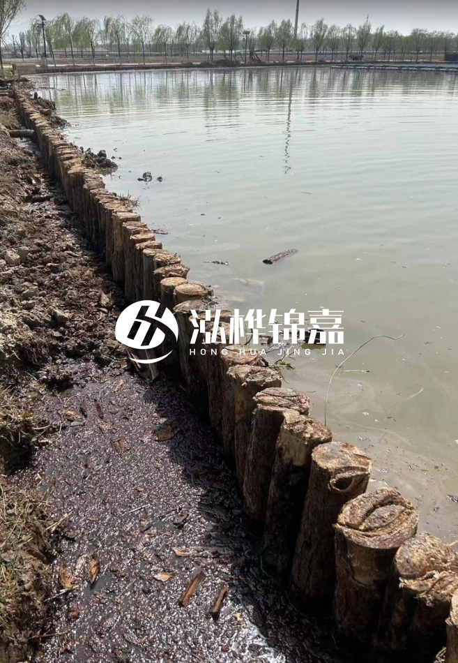 松木樁為什么要一根一根挨著打？秘密在這里！看完恍然大悟！