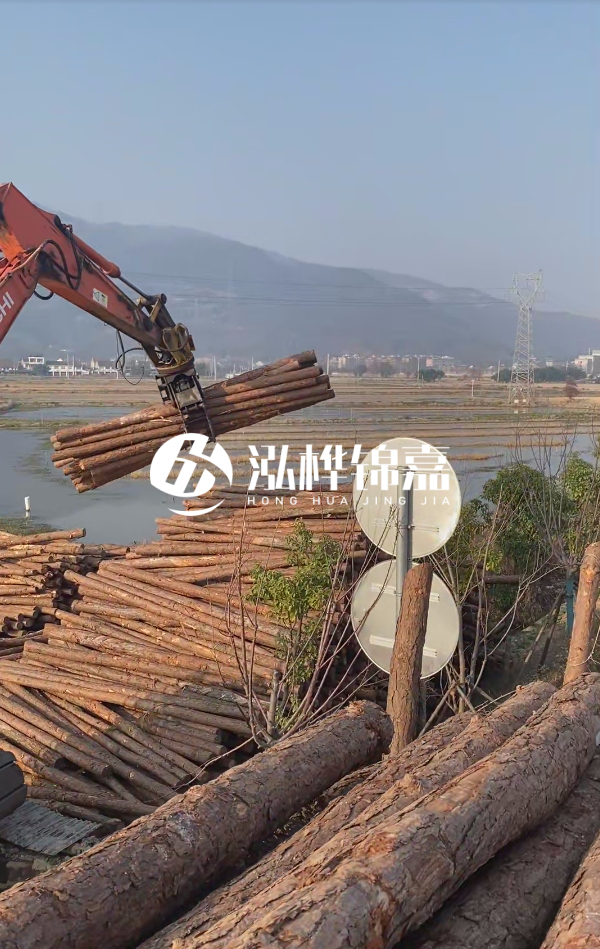 松木樁是否需要削皮呢？松木樁為什么不會爛掉呢？