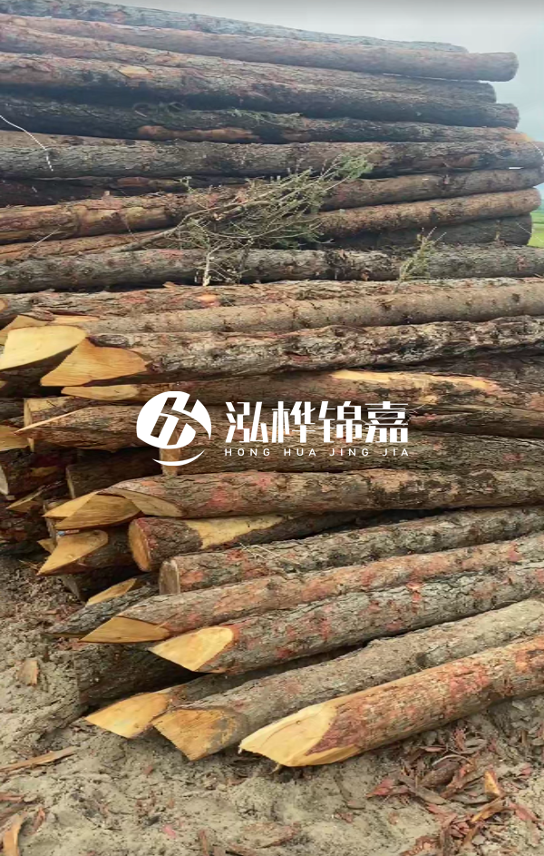 松木樁4米長尾徑14厘米價(jià)格是多少？一立方米有多少根？