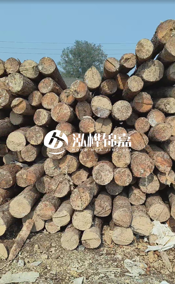 打松木樁多少錢一米 - 4 米松木樁打樁大概多少錢一根？