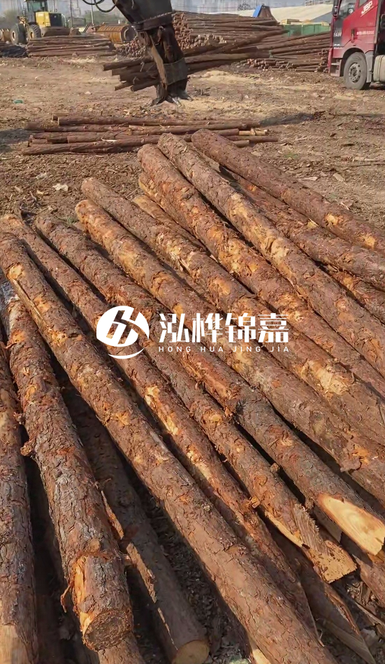 7米松木樁8一12公分價(jià)格？直徑15公分松木樁多少錢？