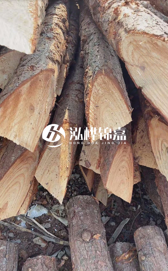 3米杉木樁梢頭12大頭多少？賣多少錢一根？