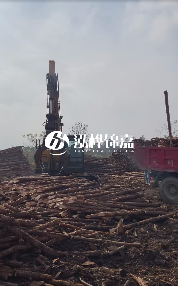 6米打樁木多少錢一根-6米10-15公分價格是多少？