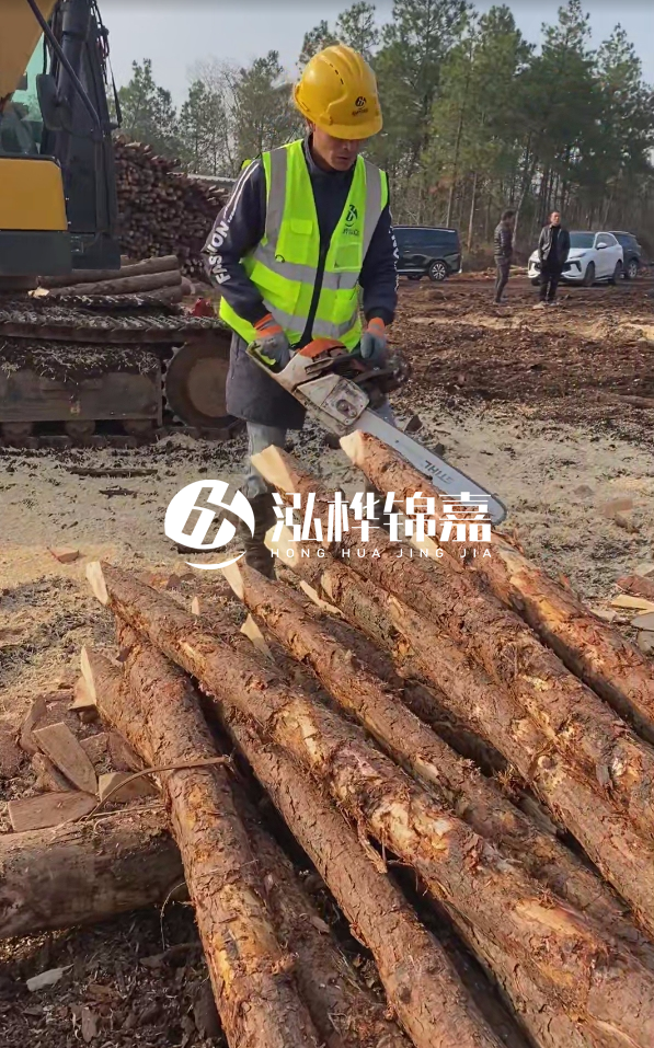 松木樁樁長1.5米稍徑12多少錢一根？樁長1.5米稍徑12大頭多少？