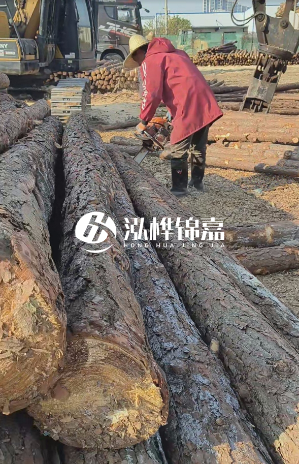 長沙打樁木批發(fā)廠家在哪里？聯(lián)系方式是什么？