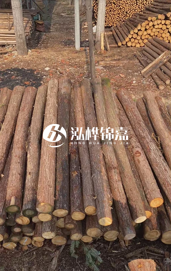 河道護坡選松木樁還是杉木樁？河道木樁一根多少錢？