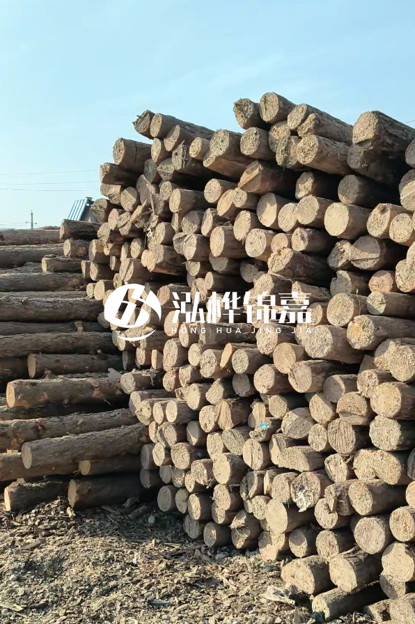 江西哪里有松木樁賣-4米12-14公分松木樁價(jià)格揭秘！