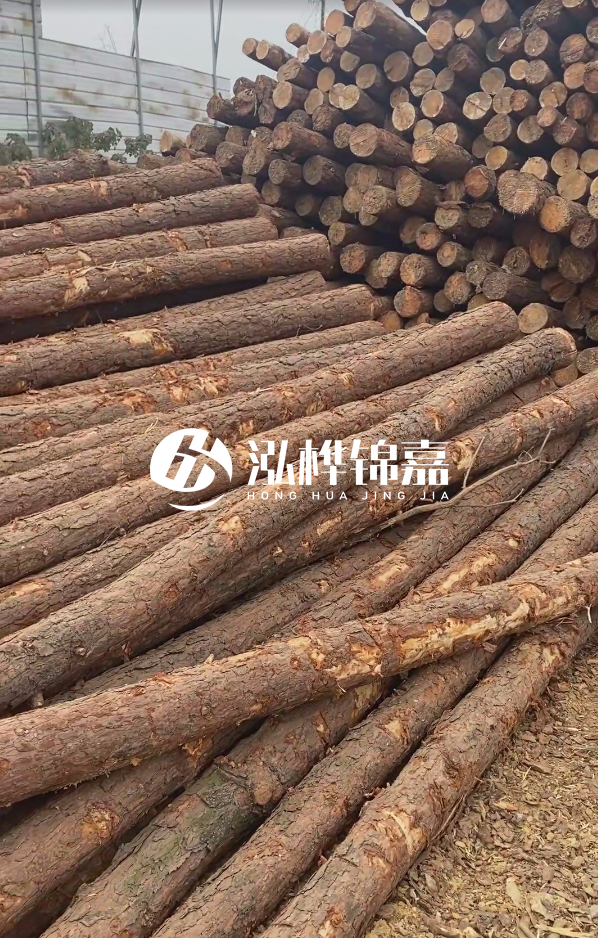 山西河道木樁護(hù)岸價(jià)格多少錢一米-每米河道打樁要花多少錢？