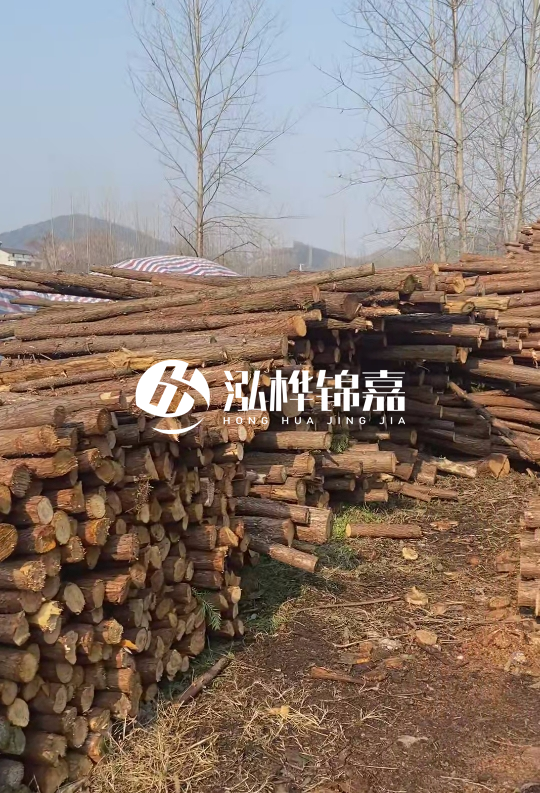 貴州打樁木材價格多少-打樁木材價格多少錢一立方？
