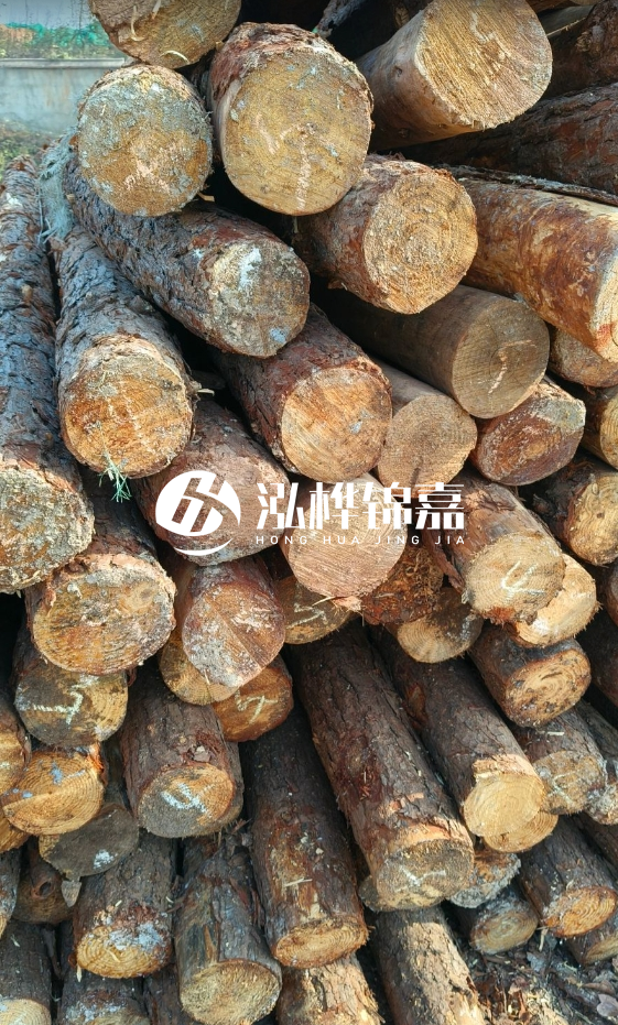 油松3米12公分多少錢一根？油松4米12公分多少錢一根？