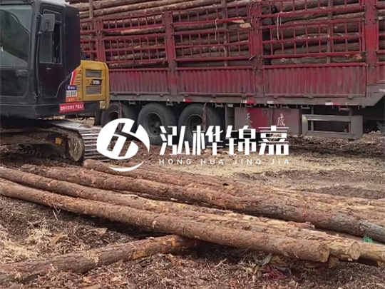 江西2米10-12松木樁多少錢一根？10-15公分價格又是多少？