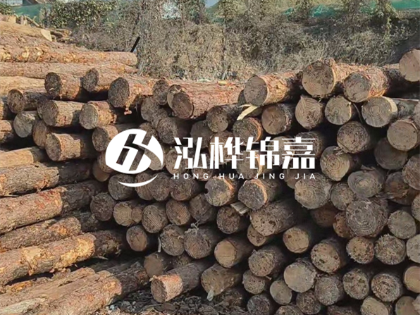 落葉松木材的主要產(chǎn)地在哪里？為什么比其他松木更耐腐蝕？