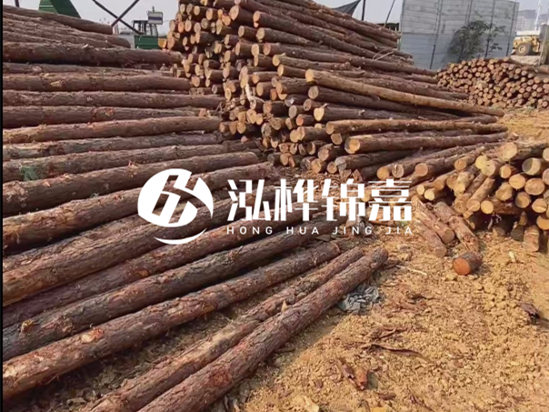 河道木樁施工遇到淤泥怎么辦？打多深才能防沖刷？