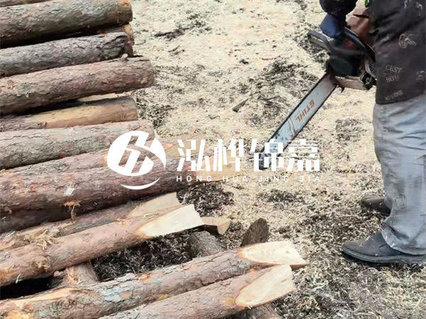 杉木樁批發(fā)廠家哪家好？產(chǎn)地直供渠道推薦！