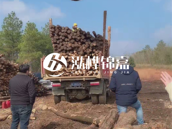 松木樁價格是按米算還是按根算？6米松木樁批發(fā)價每根多少錢？