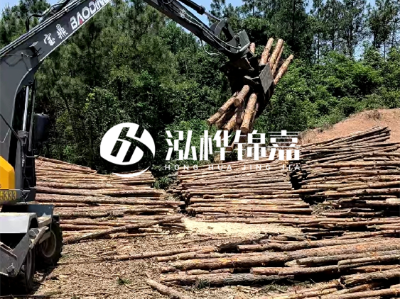 3米松木樁小頭10公分多少錢一根？大頭10公分又是多少錢？