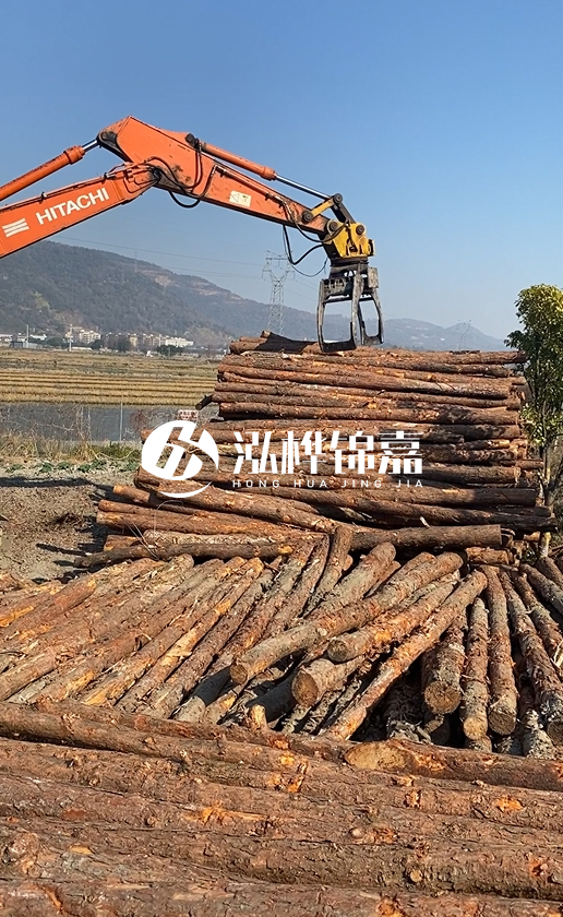 帶皮松木樁的防腐效果如何？和不帶皮松木樁價格差異有多大？