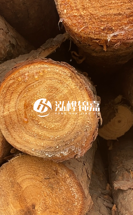 江西打樁木源頭廠家泓樺錦嘉-4米松木樁頭徑18cm多少錢？