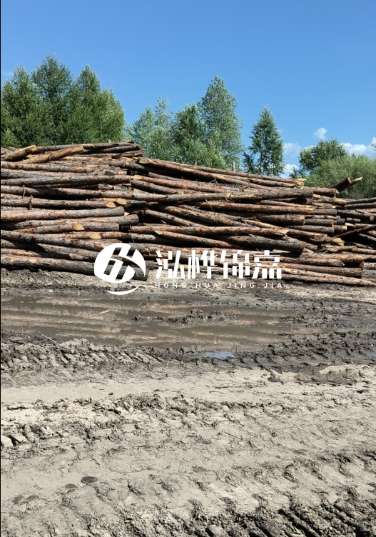 3米松木樁適合河道護坡嗎？小頭直徑8厘米的松木樁價格如何？