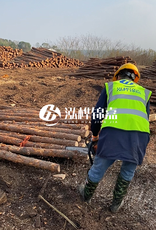 廣東松木樁3米生產廠家-3米直徑12松木樁多少錢？