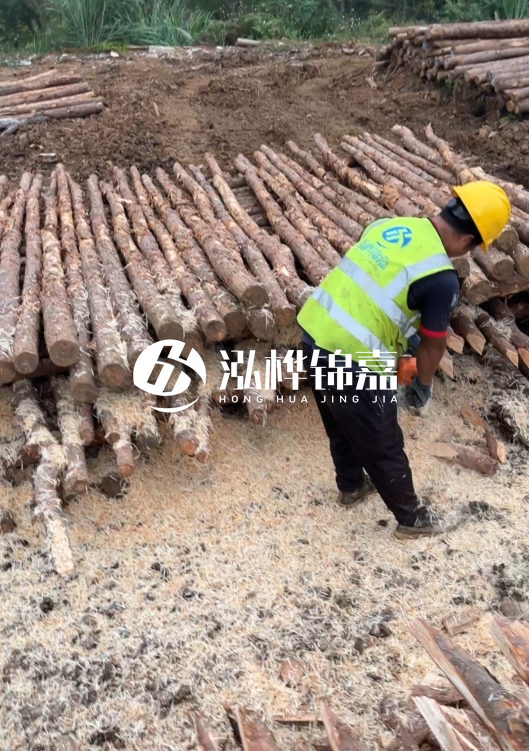 江蘇打樁木源頭廠家泓樺錦嘉-2.5米大頭10CM多少錢一根？