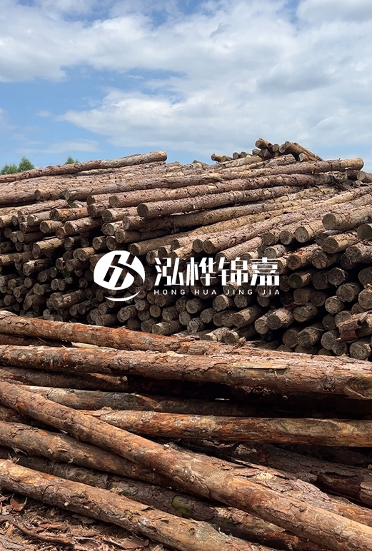 福建松木樁源頭廠家泓樺錦嘉-4.5米松木樁大頭15CM多少錢？