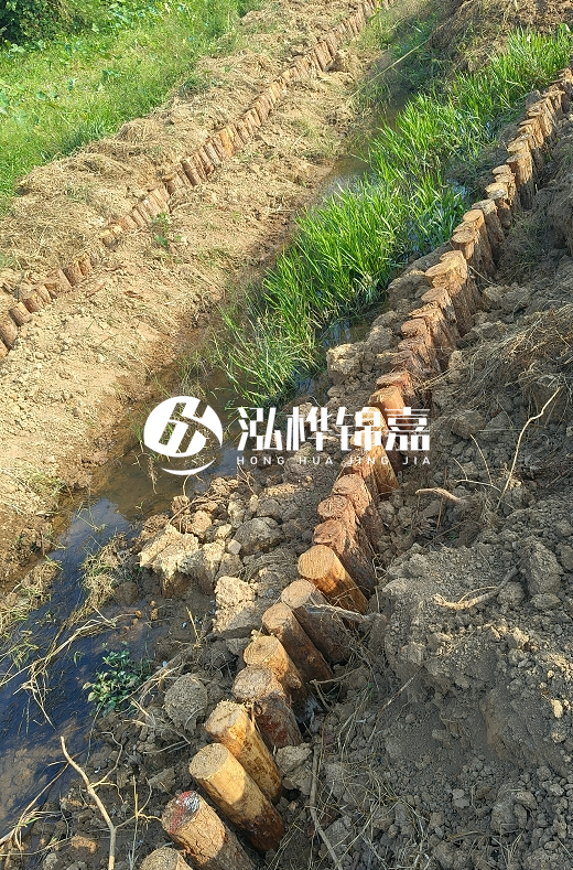 湖南松木樁批發(fā)廠家直銷-松木樁做碳化多少錢一根？