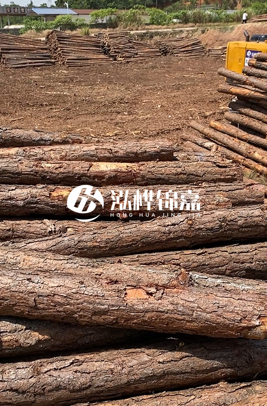 陜西河道木樁源頭廠家泓樺錦嘉-3米大頭11-13厘米多少錢一根？