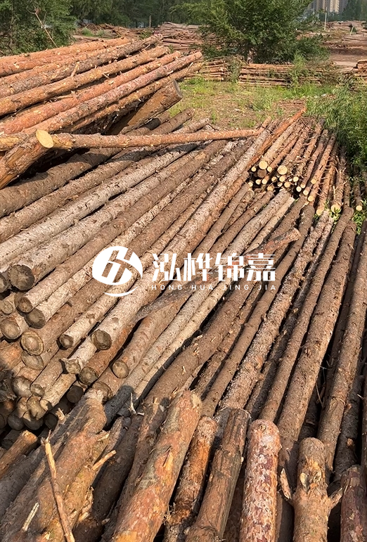 如何選擇合適的松木樁廠家？采購(gòu)松木樁需要考慮的因素有哪些？