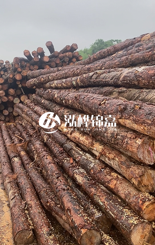 購(gòu)買松木樁注意事項(xiàng)有哪些-不同直徑松木樁區(qū)別有哪些？