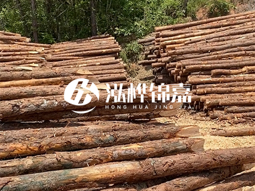 松木樁的運(yùn)輸費(fèi)用是否包含卸車費(fèi)？卸貨時(shí)需要注意哪些安全問(wèn)題？